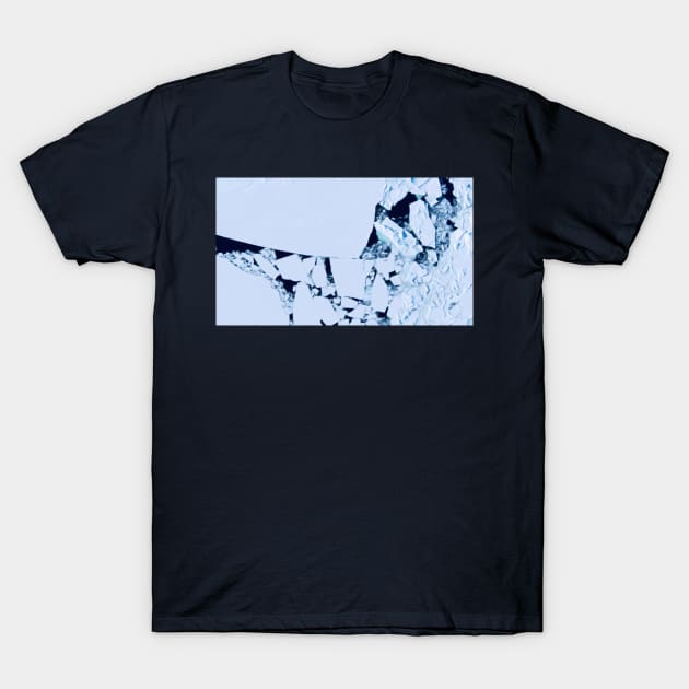 Against Ice Melting No. 1 T-Shirt by asanaworld